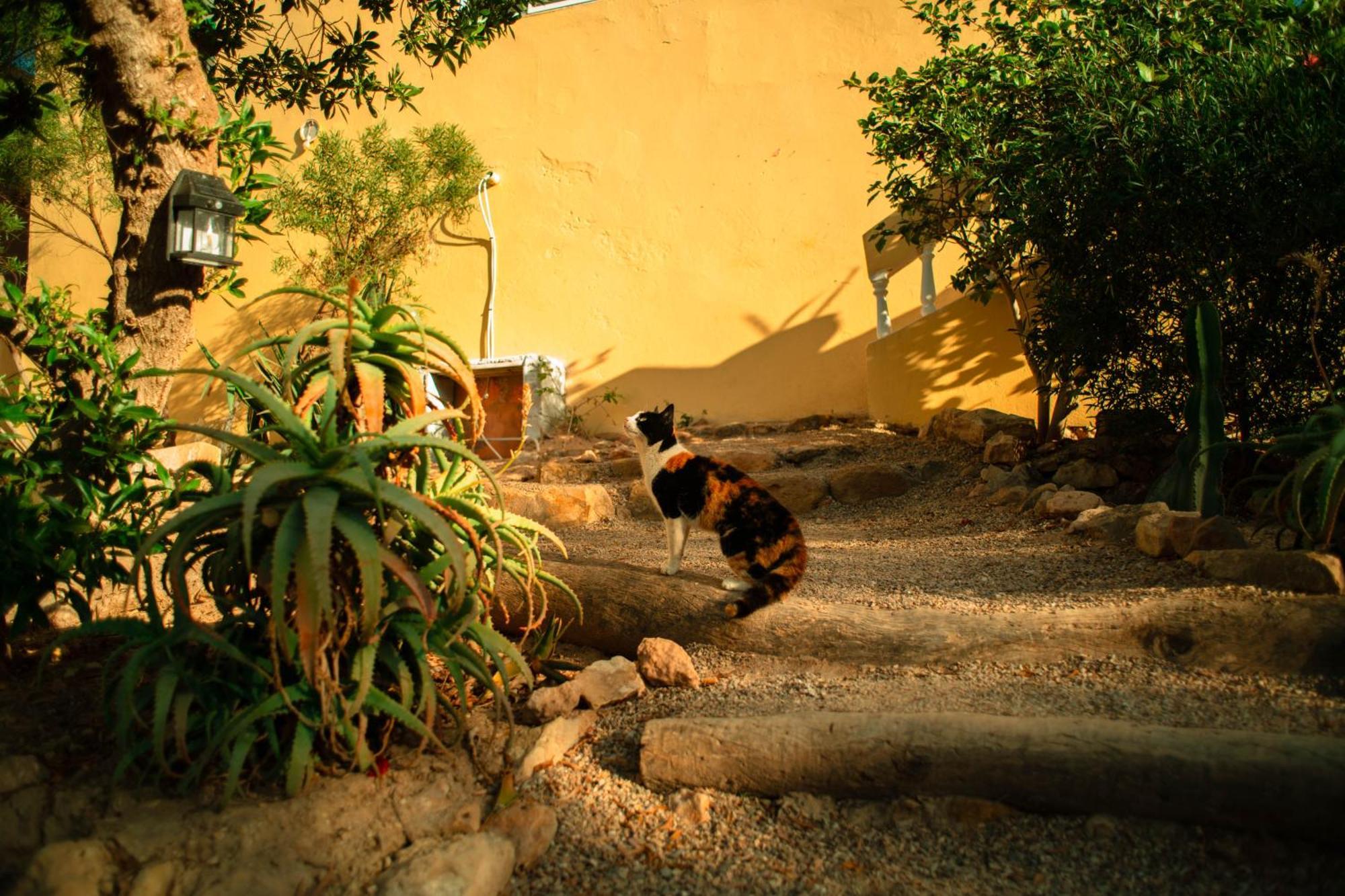 Easy Going Imsouane Bed & Breakfast Bagian luar foto